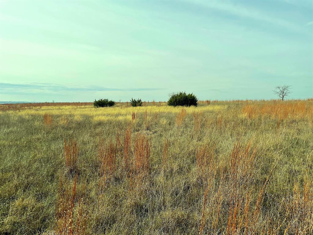 2245 County Road 619