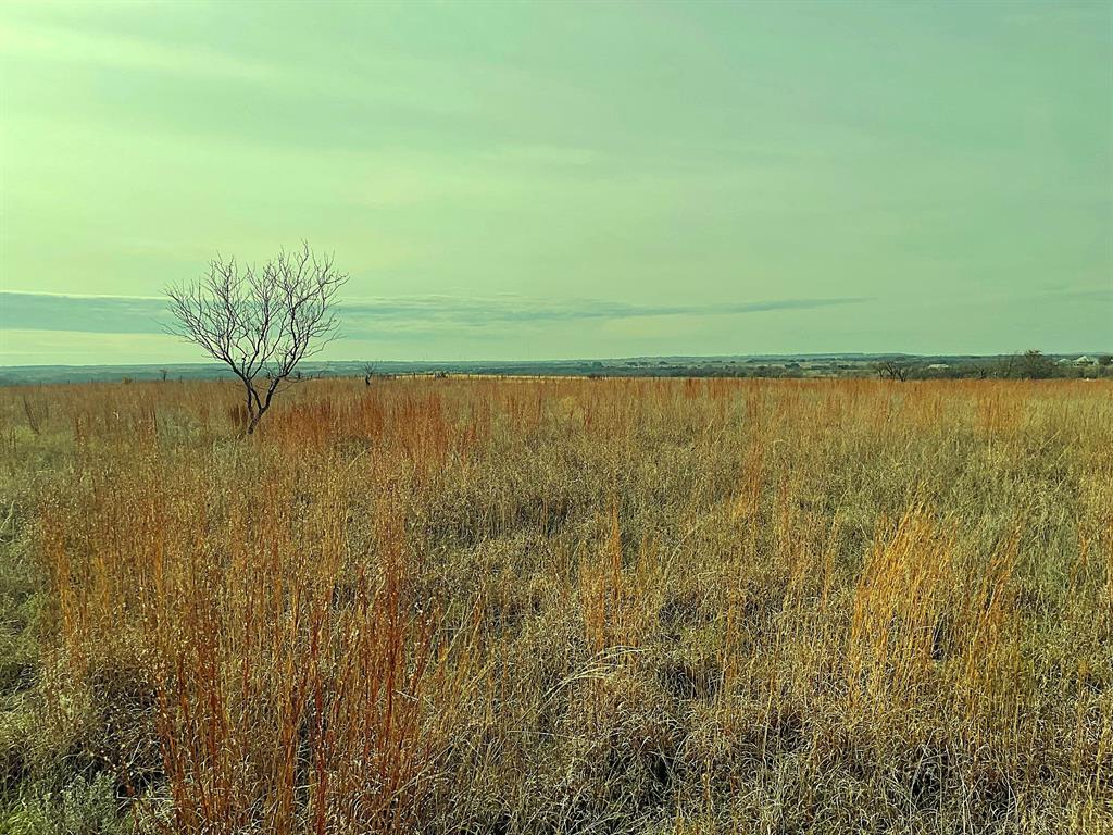 2245 County Road 619