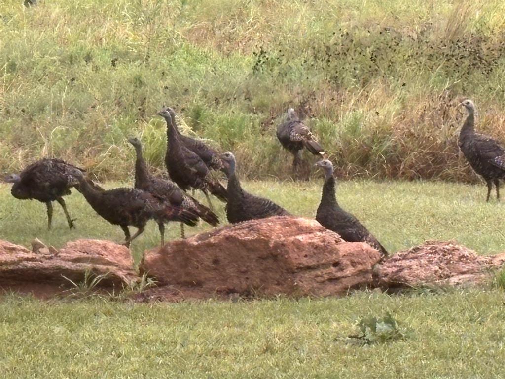 ETRR CO, Ranch 4 - Residential