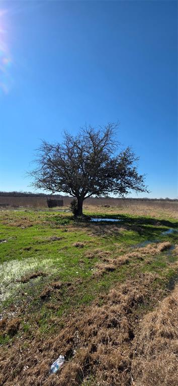 Plantation Acres - Farm