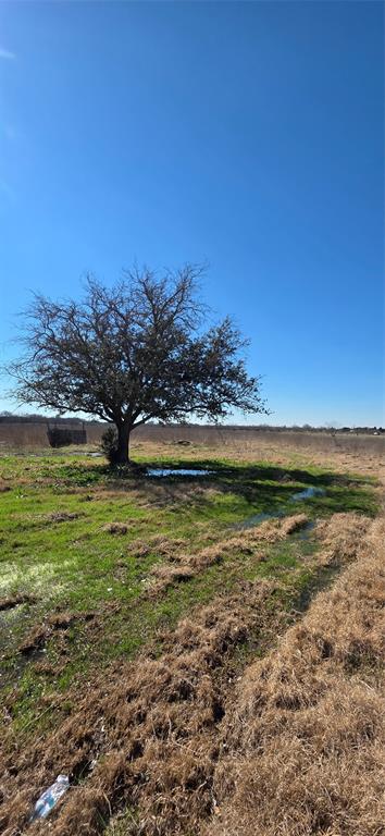 Plantation Acres - Farm