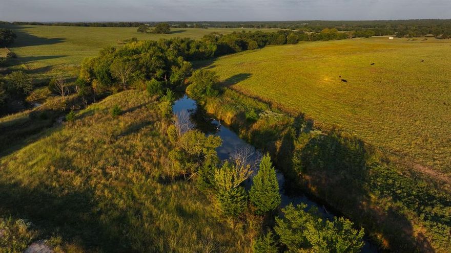 The Mallard 144, Montague County, Texas

Located just south of Montague in the heart of North Texas ranch country, the Mallard 144 offers a beautifully balanced combination of productive pastureland, scenic rolling terrain, and quality improvements. This property has been thoughtfully managed for both agricultural use and recreation, presenting an exceptional turnkey opportunity.

There is gently rolling topography with approximately 100 feet of elevation change, providing function and visual appeal. Excellent grass cover, 100% improved Coastal Bermuda, supports strong grazing and hay production potential. A wooded seasonal creek winds through the property, shaded by large post oak and native pecan trees, and holds water year-round in several stretches. Four ponds are strategically located throughout the ranch, ensuring water sources for livestock and native wildlife.

Livestock working facilities are well-designed, highly functional, and include steel pipe pens, heated water troughs in each pen. The fencing and layout were designed with livestock management in mind. The ranch is cross-fenced for rotational grazing, with fencing in excellent condition.

A useful feature of the property is a 2-acre high-fenced garden, with drip irrigation and established for high productivity—ideal for personal use, horticultural pursuits, or specialty crop production.

Water is supplied by a reliable well producing approximately 12 GPM, serving both livestock and irrigation systems.

The Mallard 144 represents an outstanding opportunity for the buyer seeking a manageable, highly improved property suited for cattle, equestrian facilities, hay production, or weekend enjoyment. With its improved pastures, abundant water, and practical infrastructure, this ranch combines utility, beauty, and location in one of Montague County’s most desirable areas. There are deed restrictions, including a limit to subdivision size and quantity that will be attached to this property.