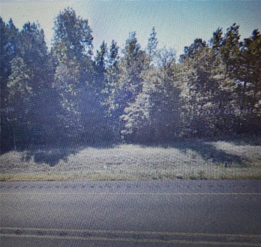 This property is approximately 12.40 acres located east of N US HWY 79. Property is located between 7600 and 7610 N US Hwy 79 in NECHES ISD and currently has no restrictions. This property is zoned E-1 (non-qualified AG). There are no utilities and no survey.  BUYER WILL NEED TO PURCHASE SURVEY AND PAY TITLE. All information here is deemed reliable. Buyer or buyer's agent to verify ALL details. *** CASH ONLY ***