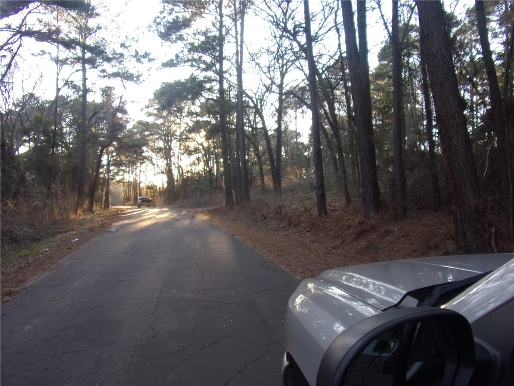 Pine Trail Shores - Land