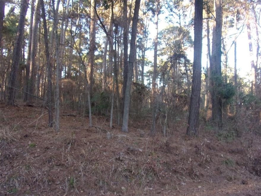 Two heavily treed lots totaling .22 acres (almost a quarter of an acre) located in the lake community of Pine Trail Shores.  This community allows mobile homes and site built homes.  Lake Palestine is walking distance from these lots.  The community has a mixture of mobiles and site built homes.  The lots are in an area where very few homes are built so there is plenty of privacy but you're still just a short distance from beautiful Lake Palestine.  More information can be found by your realtor in the attachment section of the listing.   Contact a realtor today and go see these lots before they are gone.