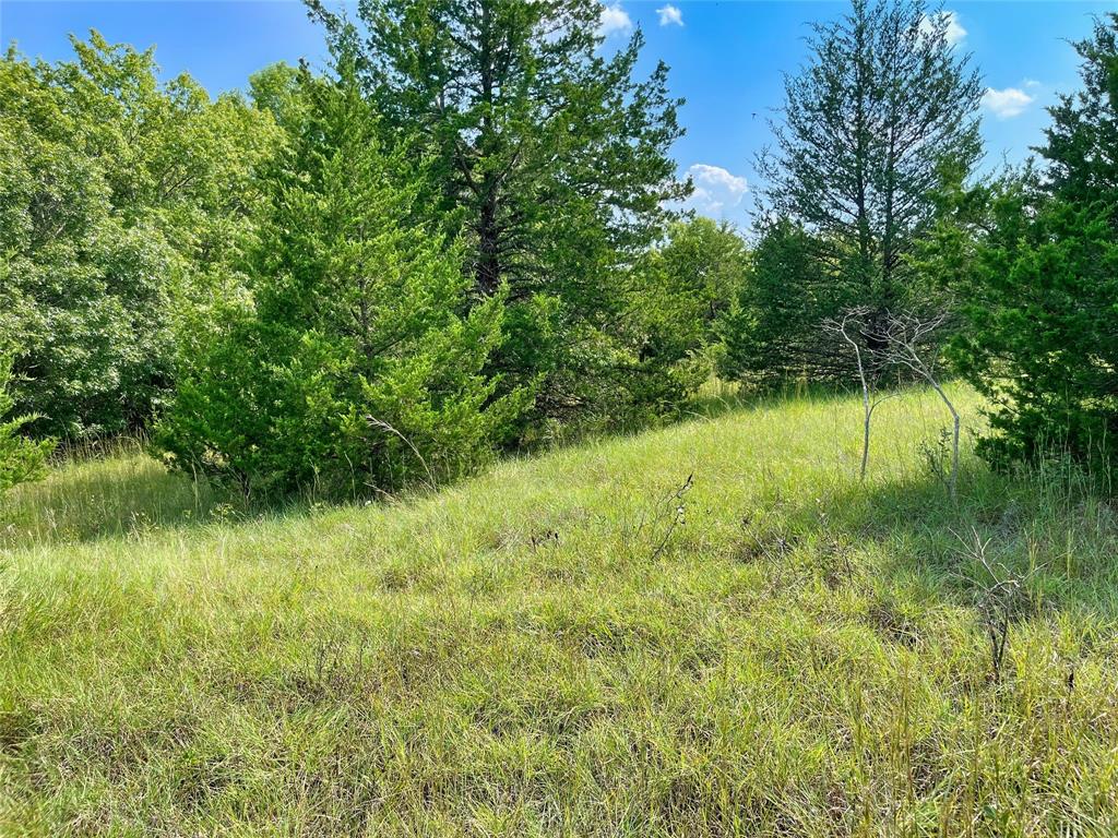 1408 Wortham Road