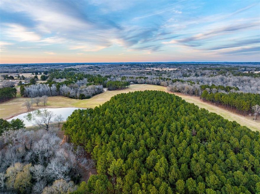 Nestled just northeast of Tyler, near the charming community of Winona, this 234.96-ac property offers natural beauty, recreational opportunities, and quality improvements. With frontage along SH 155, FM 343, and CR 313 E, it enjoys easy access while maintaining privacy. 
The land features rolling terrain with elevations from 330 to 390' ASL, offering captivating views. A picturesque 2.6-ac pond in the western portion provides a tranquil setting for fishing or relaxing. Additional water features include a creek along the northeastern boundary and frontage on Wiggins Creek at the southern edge, further enhancing the property’s charm.
This property boasts an exceptional stand of mature mixed hardwoods, including oak, hickory, and sweetgum, as well as approximately 50 ac of plantation pine reported to be around 30 years old. The timber has been meticulously maintained, with extensive mulching of undergrowth throughout the property. 
The open areas of the property are primarily planted with improved grasses that are ideal for hay production or cattle grazing, providing an agricultural benefit to complement the recreational opportunities. Seasonal wildflowers and native vegetation, such as dogwoods and sassafras, add splashes of color and charm to the landscape. The property also has a 2.6 ac pond and a grass airstrip.
At the heart of the property is a beautifully designed cedar-sided home, built on a pier-and-beam foundation, offering approximately 1,720 sf of thoughtfully crafted living space. The home features two bedrooms and two full baths, making it a cozy yet functional retreat. 
Adjacent to the centrally located 2,600-foot grass airstrip is a remarkable 50' x 60' insulated steel building, designed with versatility in mind. The property also includes a small barn located on the eastern edge, accessible from its own entrance off FM 343.  
Don’t miss the chance to own this rare gem – schedule your private tour today!