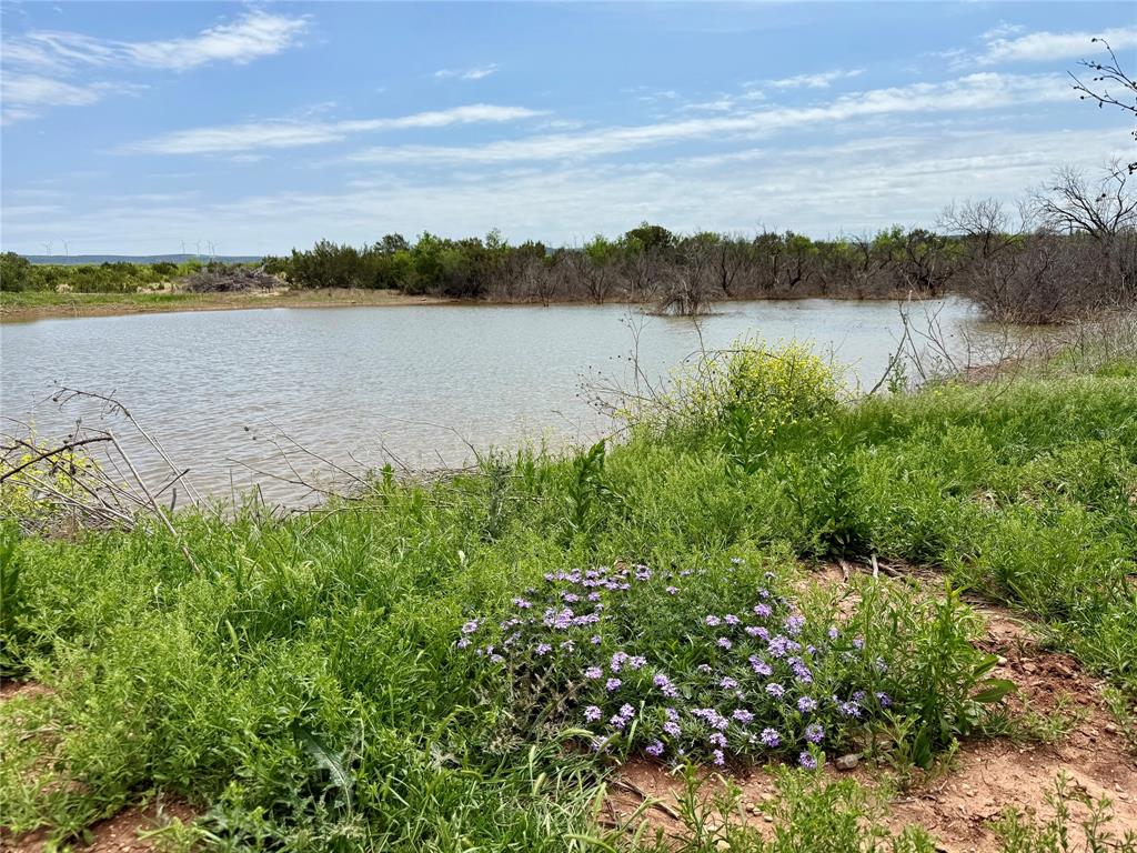 Sp Rr Company Surv Sec 13 - Farm