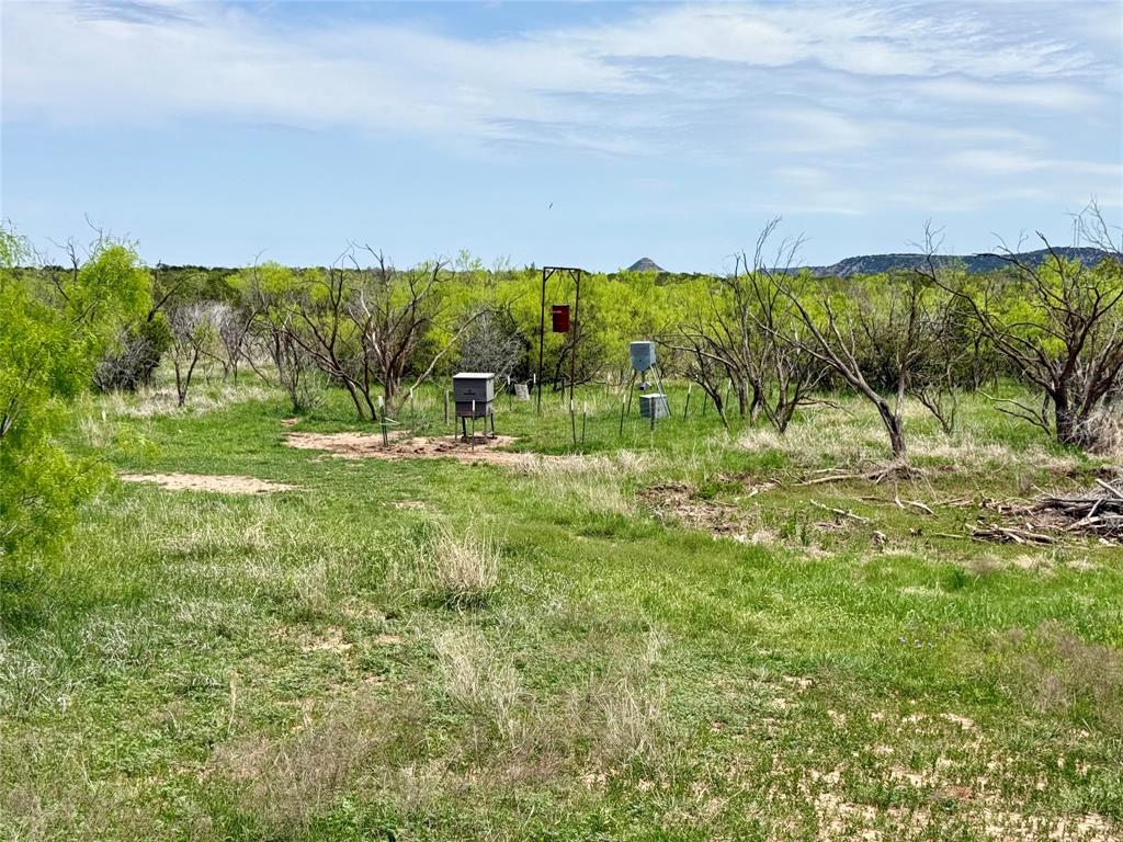 Sp Rr Company Surv Sec 13 - Farm