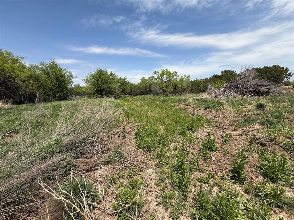 Sp Rr Company Surv Sec 13 - Farm