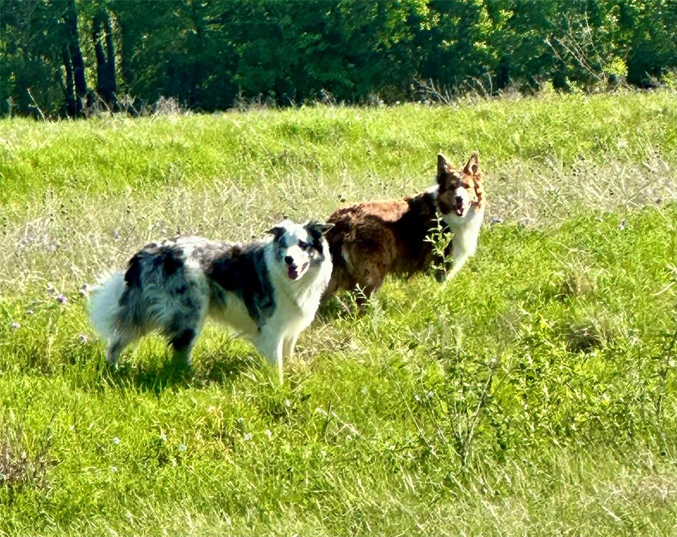 William Blevins - Residential