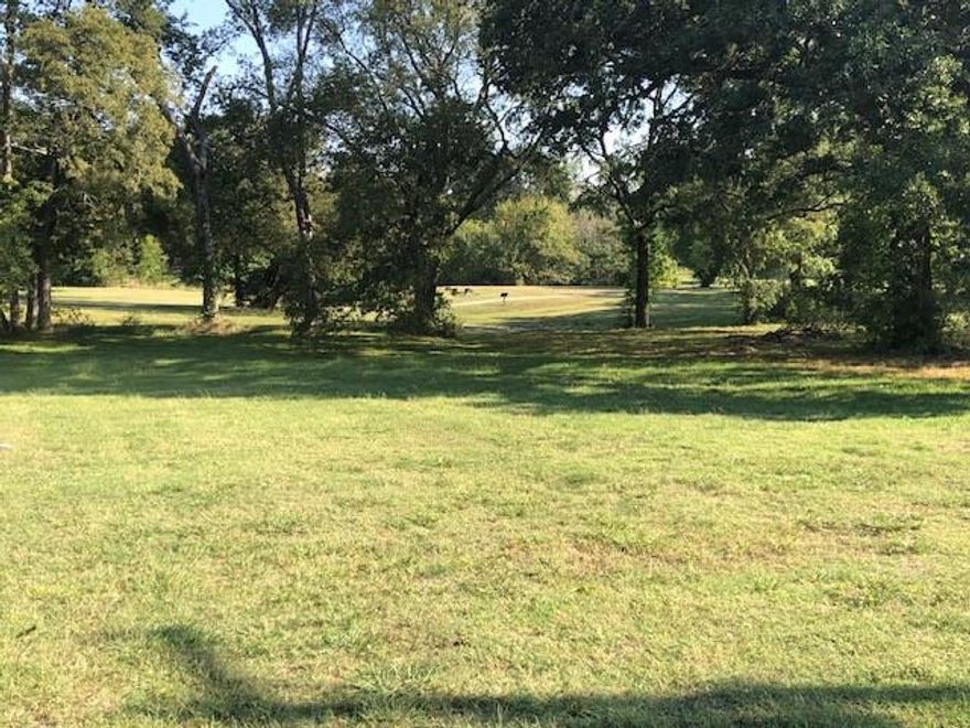 This property backs up to Powder Creek Park with walking trail, and splash pad. New homes across the street and to the west.

BUYER & BUYER'S AGENT TO VERIFY ACCURACY OF ALL INFORMATION INCLUDING LOT SIZE, BOUNDARY LINES, LAND USES, SHOOLS, TAXES, ETC. BEDCO owned property, BUYER required to pay for TITLE, and SURVEY.  . No survey Bonham Economic Development owned property- SUBMITTED CONTRACTS REVIEWED ONCE A MONTH AT BEDCO MEETING.