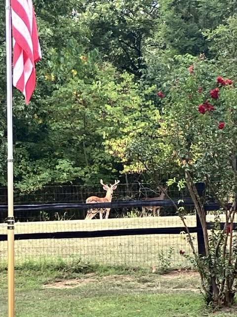 Point La Vista Sec 01 - Residential