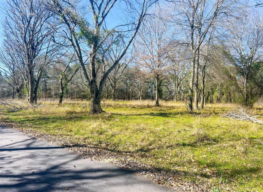 0000 County Road 2319