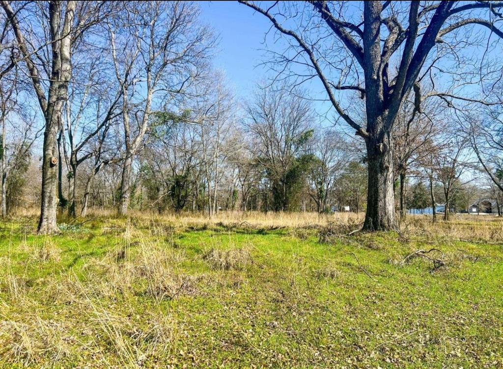 0000 County Road 2319