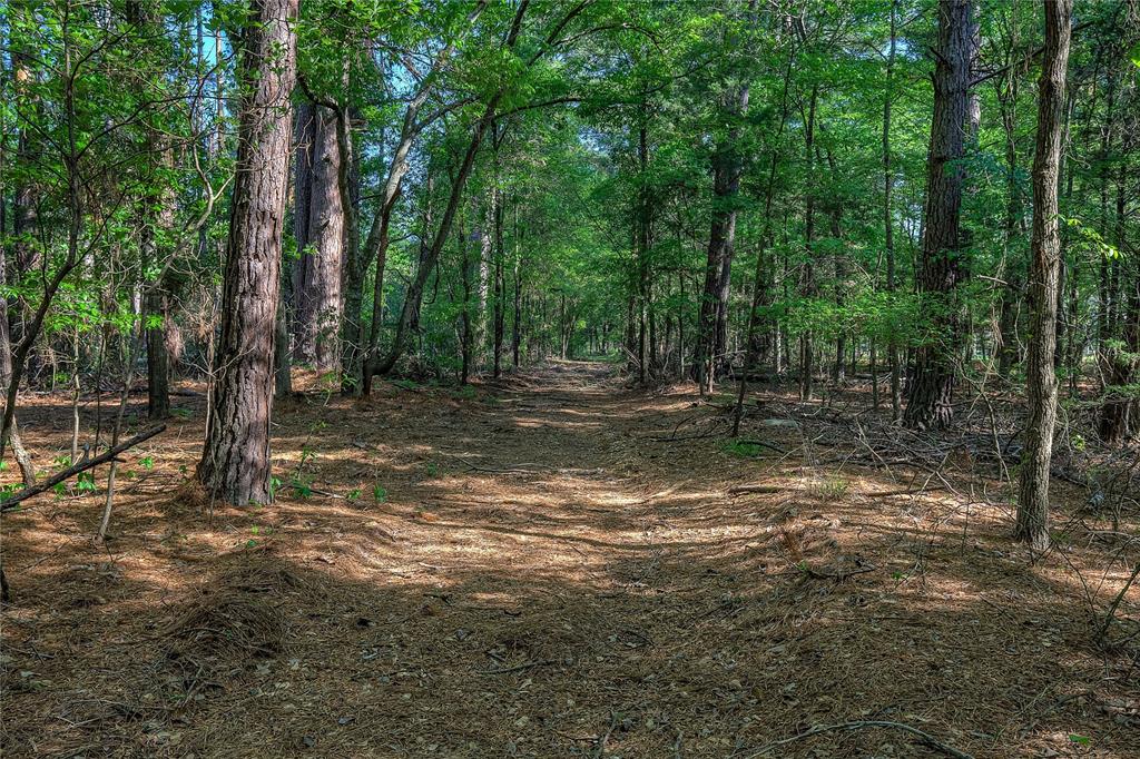 284 County Road 1451