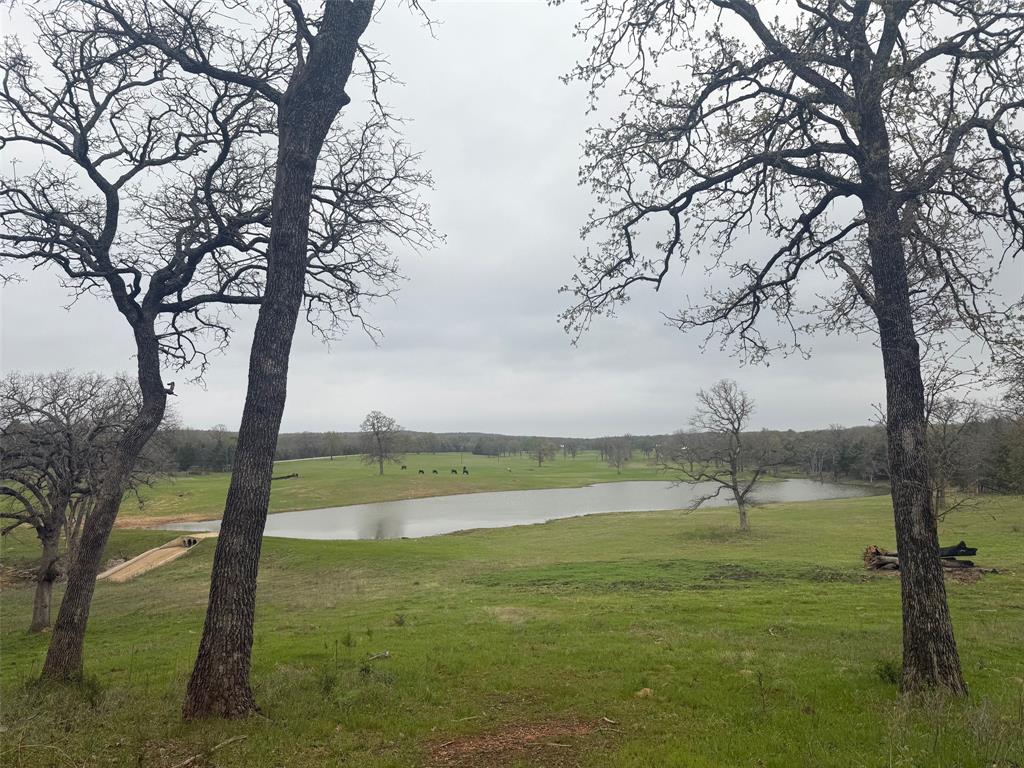 2826 County Road 215