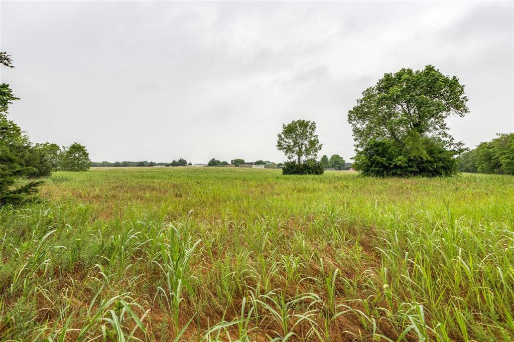 Bloomdale Farms - Land