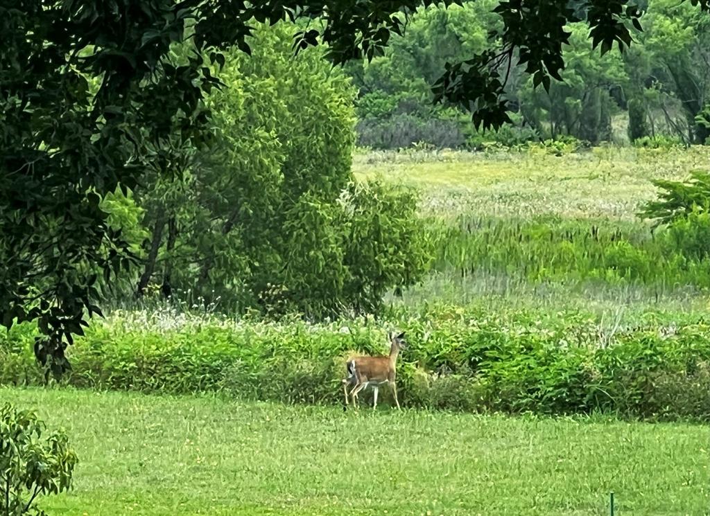 Ridgepointe Ph 5 - Residential Lease