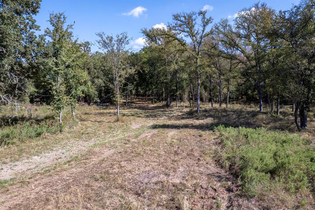 Twisted Creek Ranch - Land