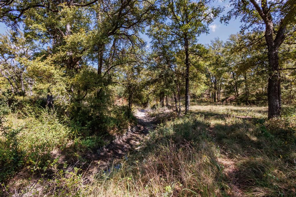 Twisted Creek Ranch - Land