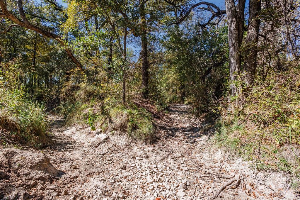 Twisted Creek Ranch - Land