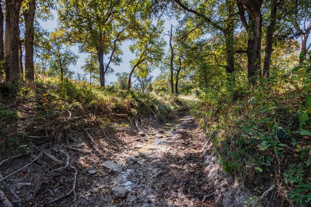 Twisted Creek Ranch - Land