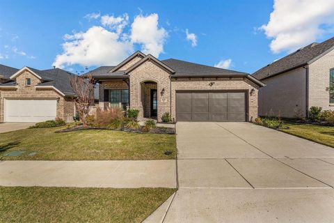 A home in Little Elm