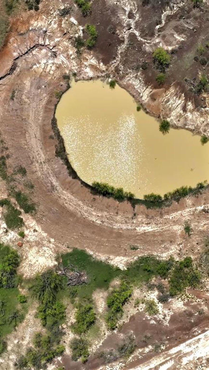 This gorgeous WILDLIFE EXEMPT property offers a mix of trees, open spaces, and native landscaping creating an ideal setting for a private retreat. Nearly 24 acres to enjoy a variety of outdoor activities like hunting and fishing in the 2 ponds. One stock tank includes catfish, bass, bluegill, sunfish, and feeder minnows! With no livestock restrictions, you can finally have that farm you've been talking about and you'll already have the west and south fence lines covered! Bring your RV since the property is conveniently equipped with electricity and a 50 amp RV plug! 4 inch pipe has been drilled for a potential future well! Located outside of town for seclusion and privacy, but not too far to go grab a Herd's burger! Whether you're dreaming of building a home or simply looking for a place to unwind, the possibilities really are endless! Don't miss out on this opportunity to own your own piece of heaven on earth and claim these breathtaking views!