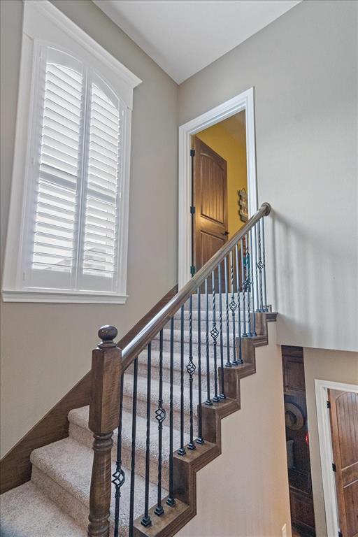 Vista Ridge - Residential