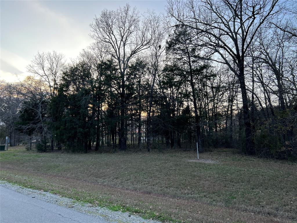 The Shores On Richland Chamb - Land