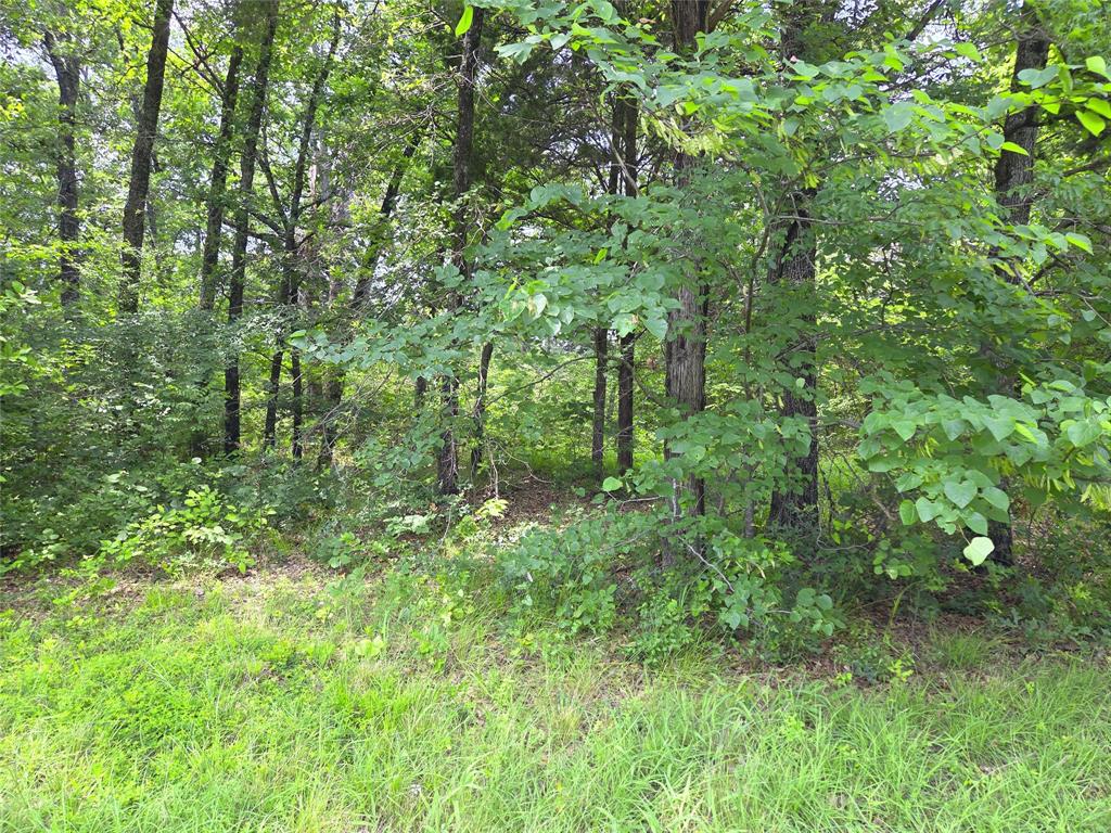 The Shores On Richland Chamb - Land