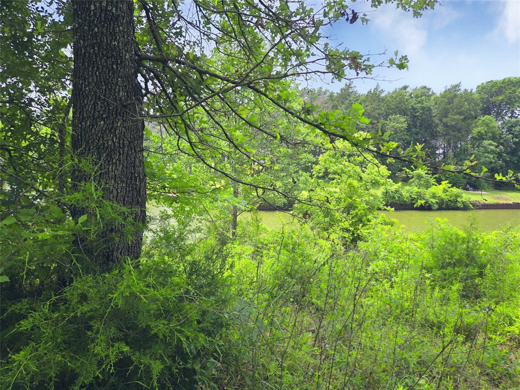 The Shores On Richland Chamb - Land