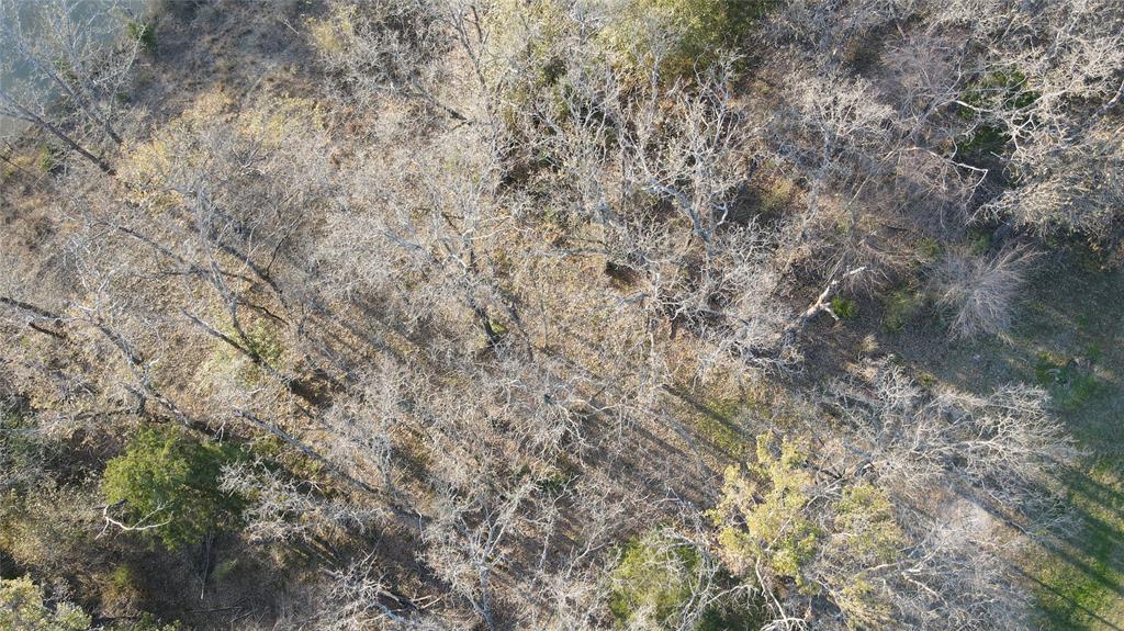 The Shores On Richland Chamb - Land