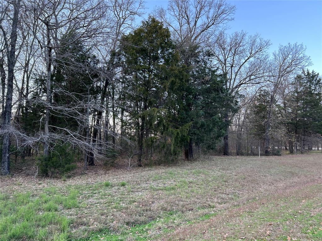 The Shores On Richland Chamb - Land