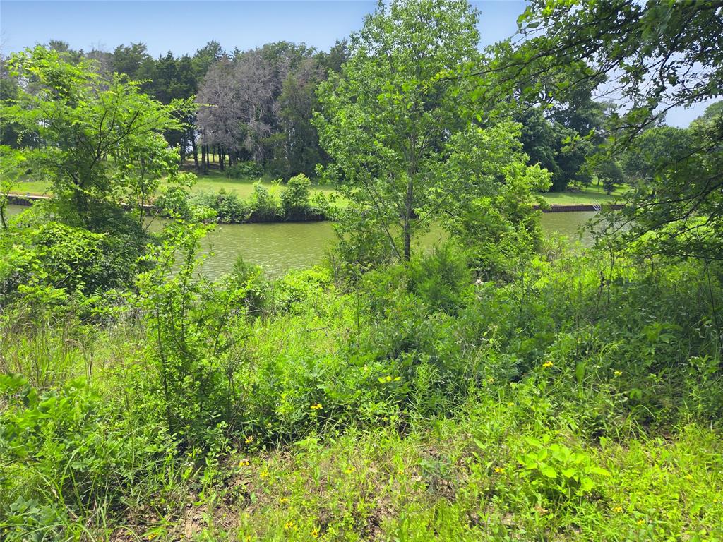 The Shores On Richland Chamb - Land