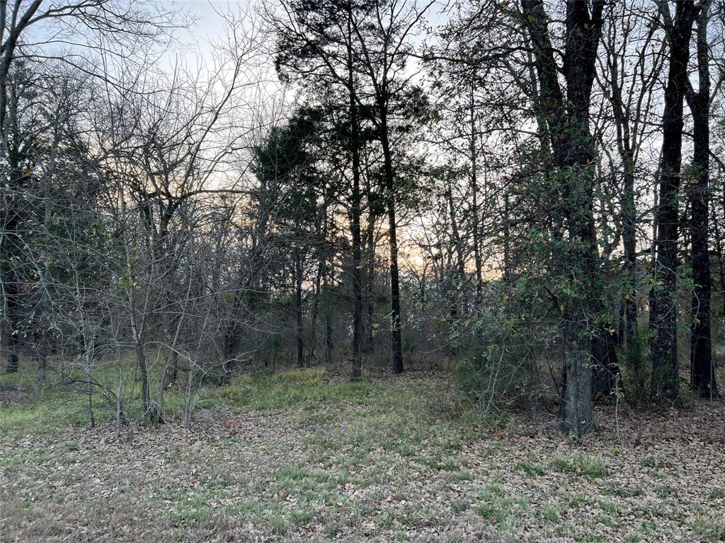 The Shores On Richland Chamb - Land