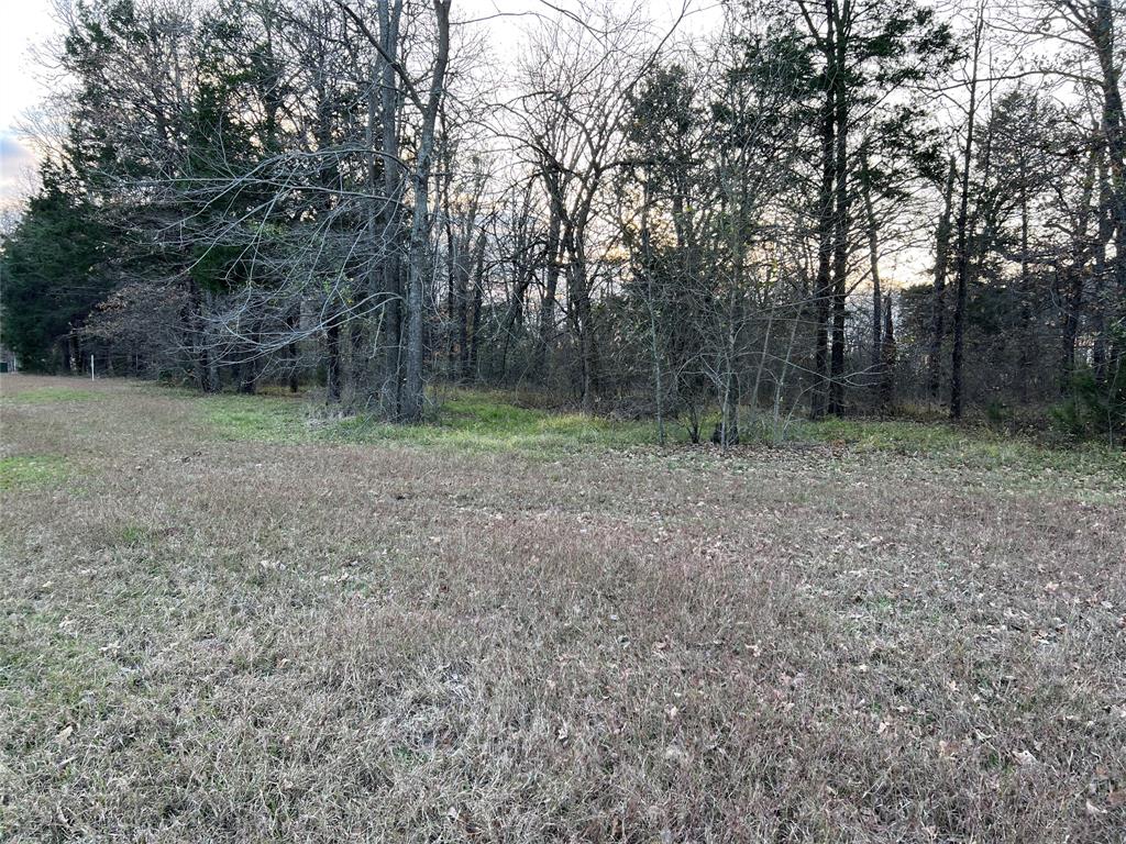 The Shores On Richland Chamb - Land