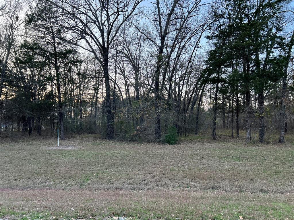 The Shores On Richland Chamb - Land