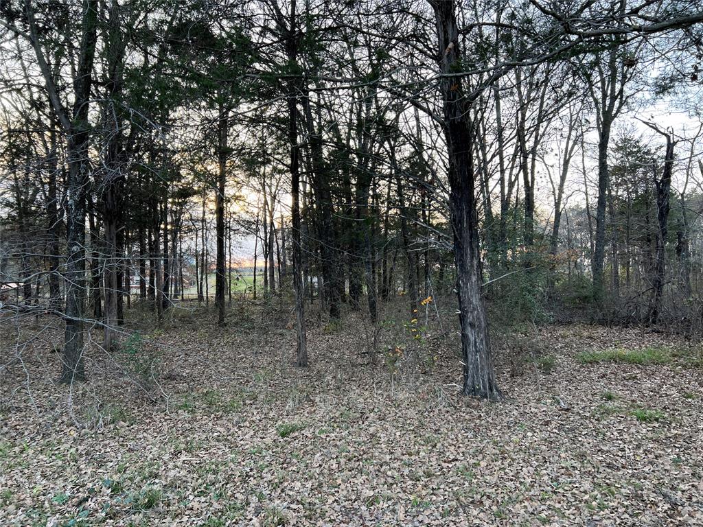 The Shores On Richland Chamb - Land