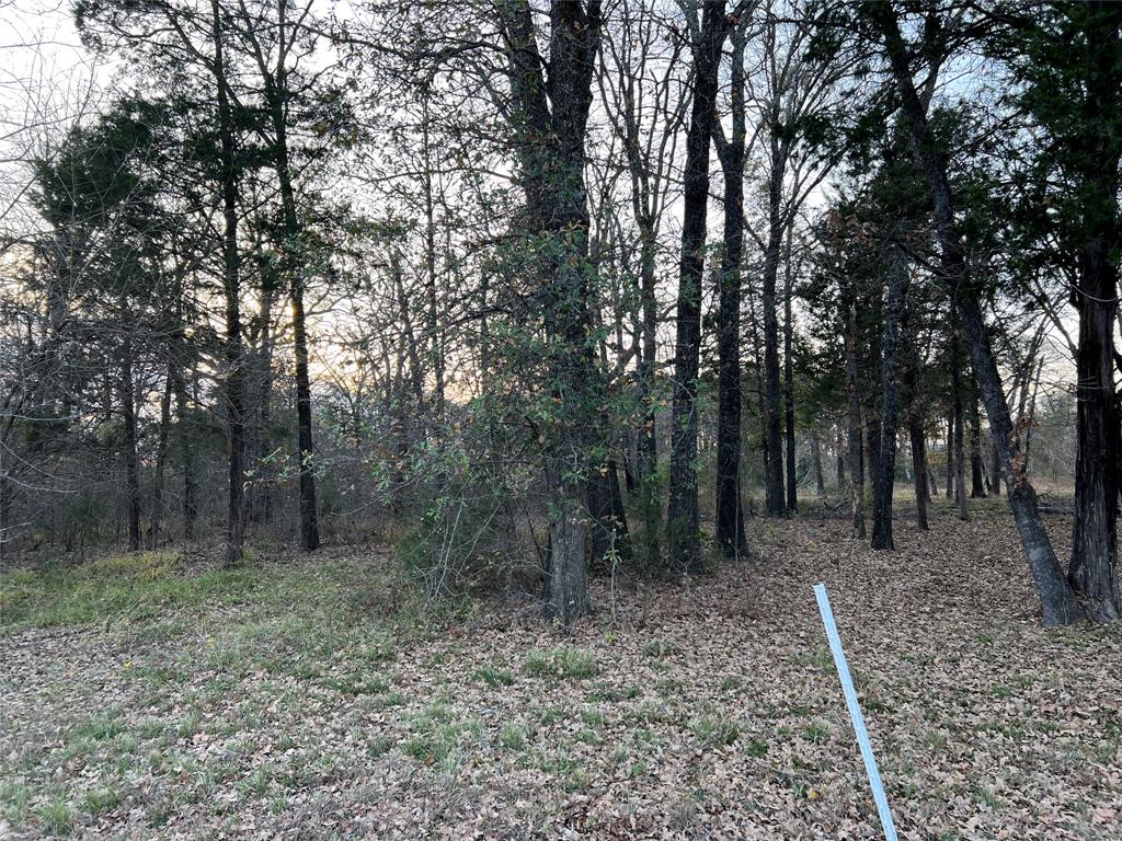 The Shores On Richland Chamb - Land