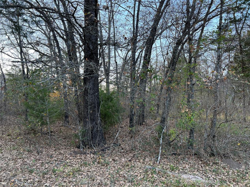 The Shores On Richland Chamb - Land