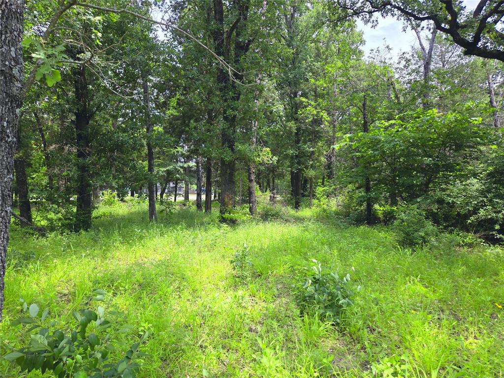 The Shores On Richland Chamb - Land