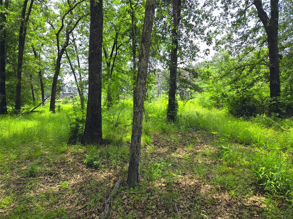 The Shores On Richland Chamb - Land