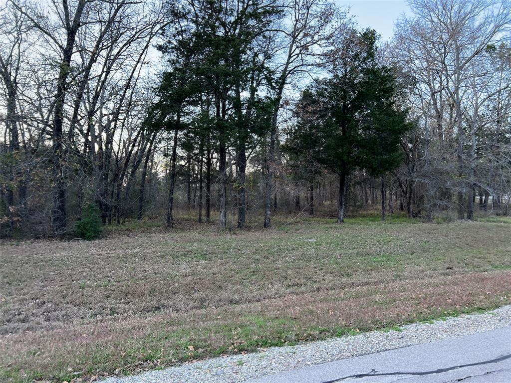 The Shores On Richland Chamb - Land