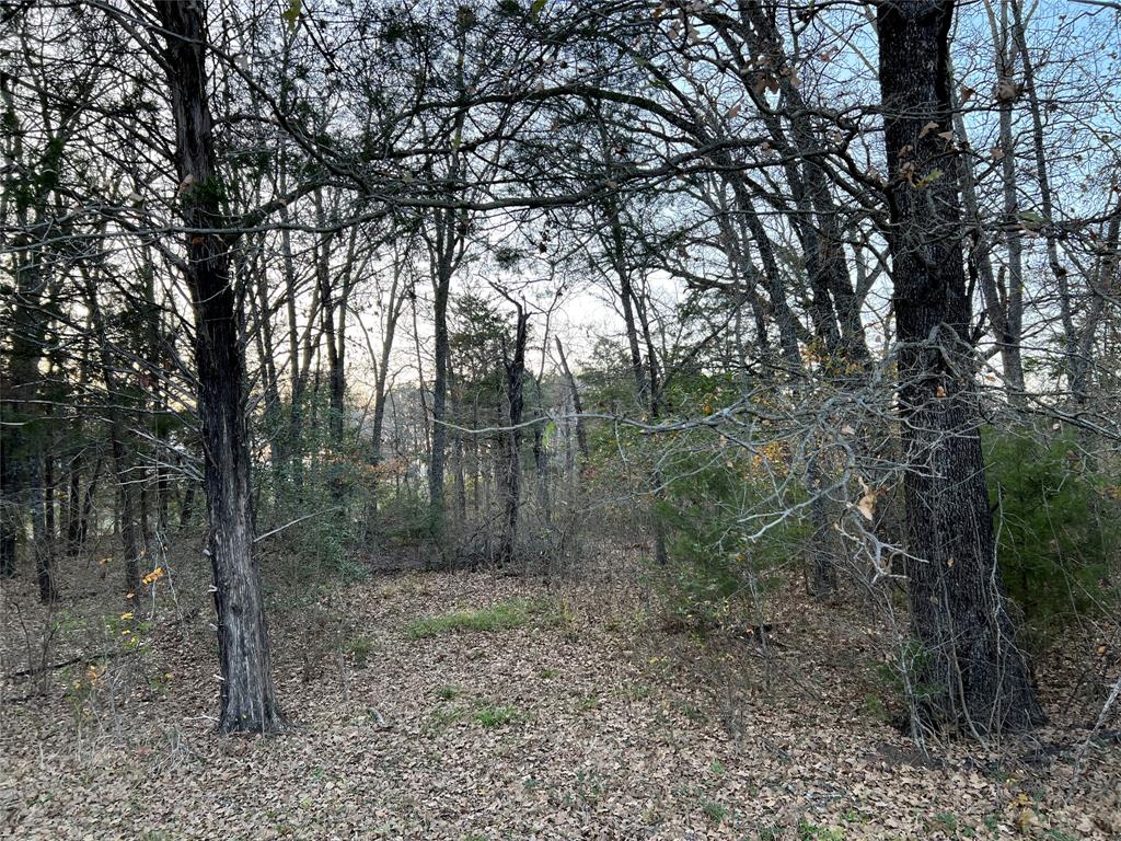 The Shores On Richland Chamb - Land