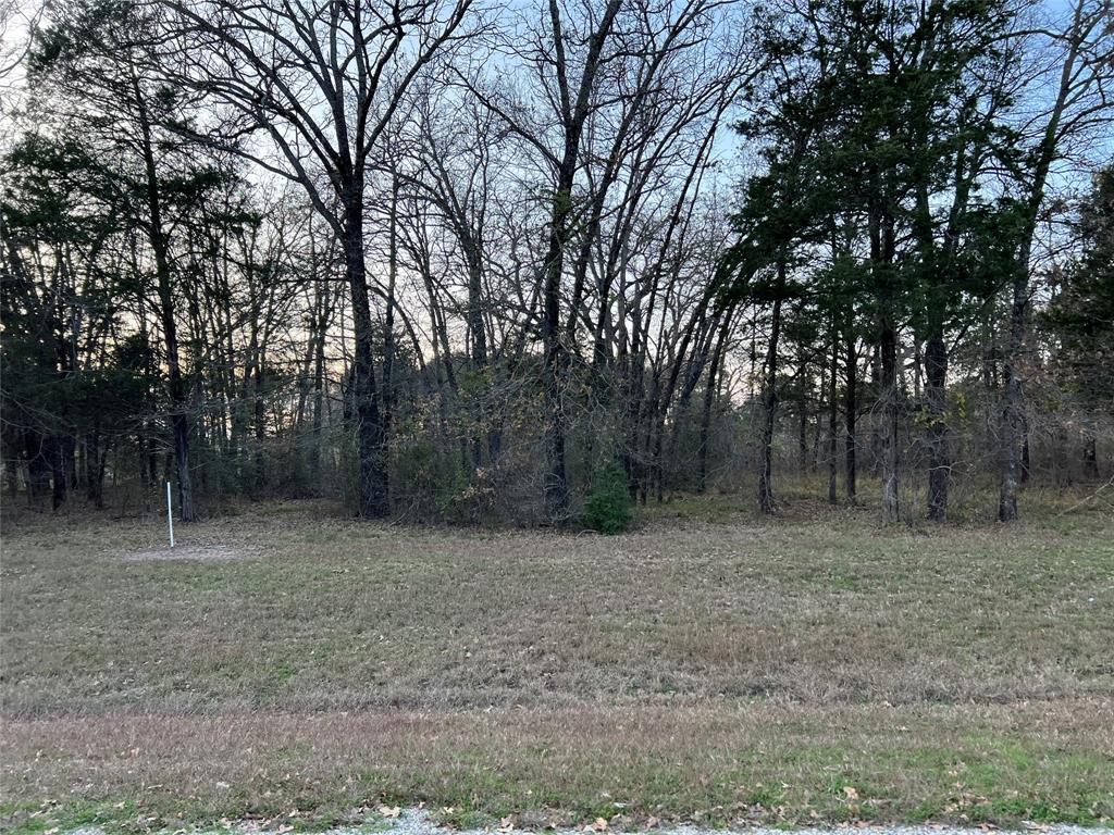 The Shores On Richland Chamb - Land