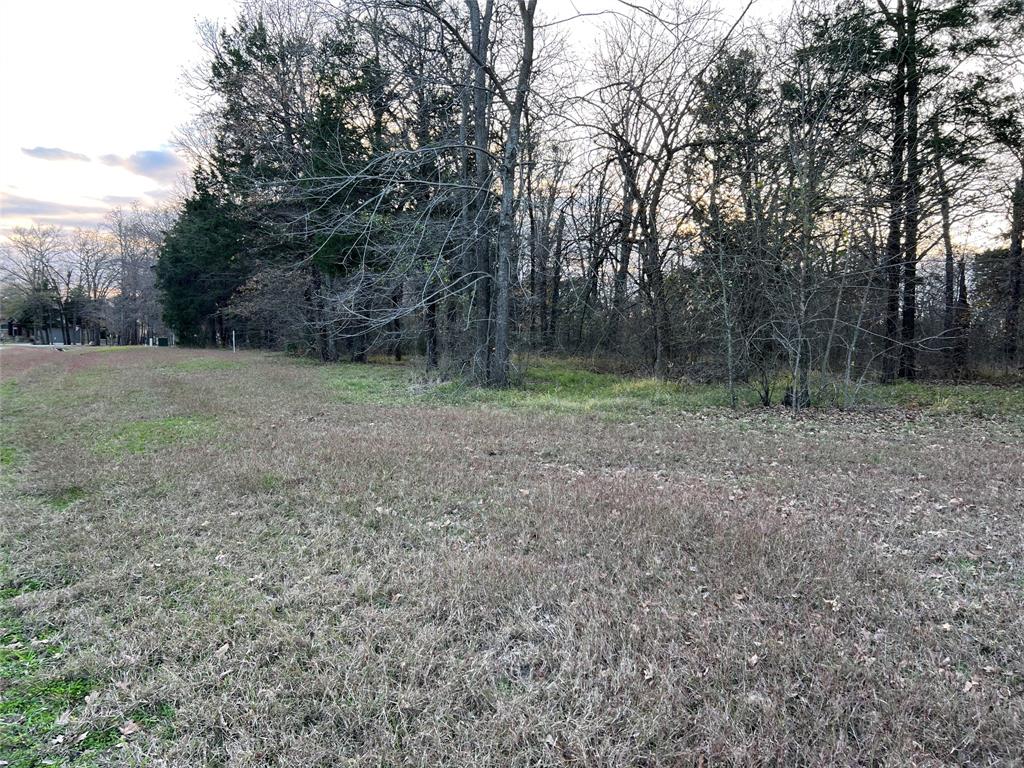 The Shores On Richland Chamb - Land