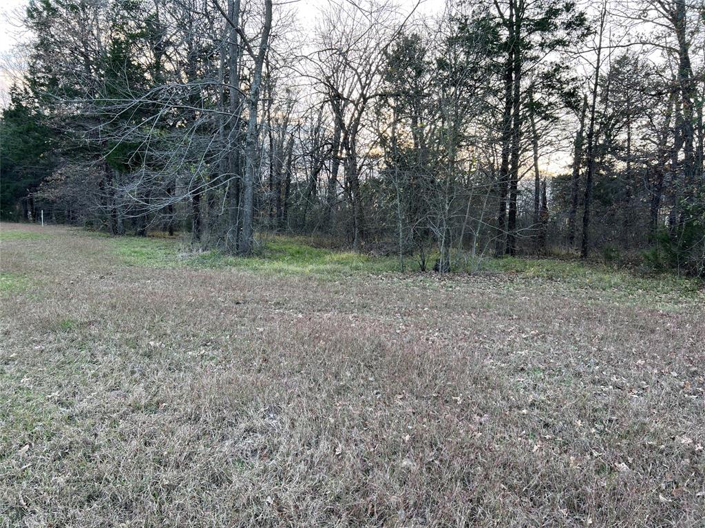 The Shores On Richland Chamb - Land