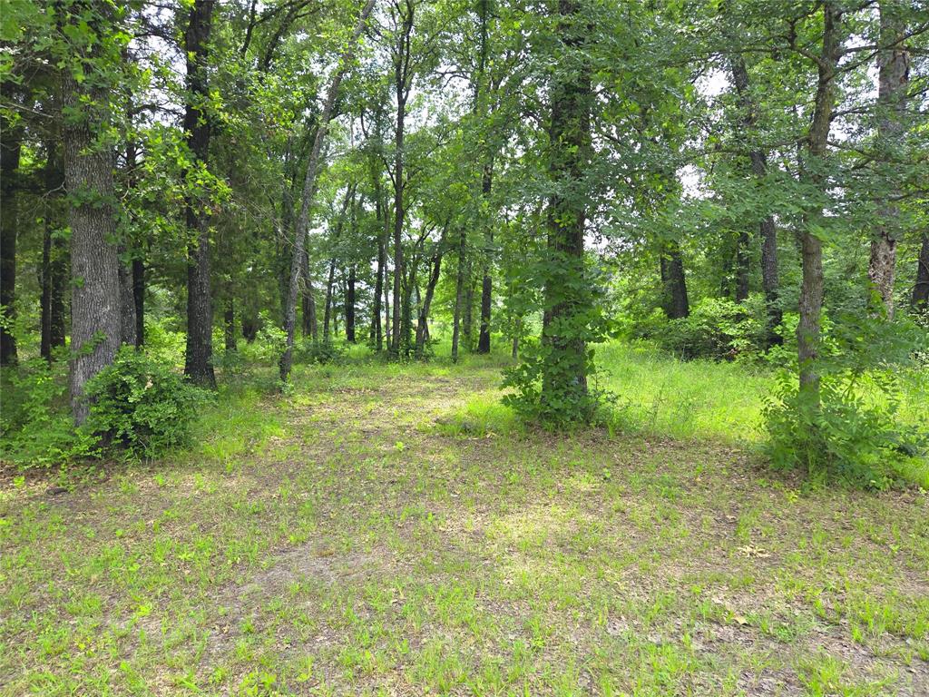 The Shores On Richland Chamb - Land